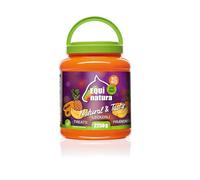 Leovet Equinatura Compléments Alimentaires Naturels pour Chevaux | 2,25 kg | Ananas, Banane et Papaye | Transformé naturellement et fabriqué en Allemagne | Morceaux de Fruits séchés