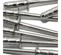 LeoVince Kit de rivets de rechange avec rivets pour système d'échappement