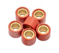 LeoVince Lot de 6 rouleaux de variateur 20 x 15 mm 12,3 g
