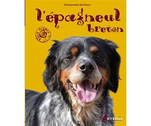 L'épagneul breton - Emmanuelle Dal'Secco - Artemis Eds - broché - Guide