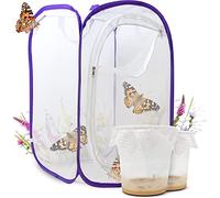 LEPITERRA Ensemble d'élevage de Papillons pour Enfants/Adultes | Élevage de Papillons avec [Garantie de réussite] | Papillons indigènes | Élevage de chenilles à Domicile à partir de 3 Ans