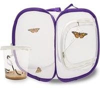 LEPITERRA Kit d'élevage de Papillons pour débutants | Réussir l'élevage des Papillons | E-Book et matériel pédagogique Gratuit | pour la Maison - Elevage de chenilles à partir de 3 Ans