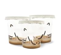 LEPITERRA® Lot de 3 cendriers à chenilles (environ 7 chenilles chacun) - Complément idéal à l'habitat des papillons - Cultiver des papillons - Papillons