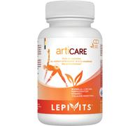 Lepivits Articare Douleurs Articulaires Et Tissus Conjonctifs 90 Gélules