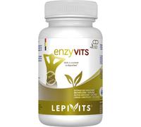 Lepivits Enzyvits Digezyme Enzymes Digestives Gingembre Digestion 60 Gélules