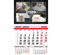 lepni.me Chat en colère Calendrier mural 2026 1 mois voir | Ne me dérange pas Humeur | Calendriers pour les amoureux des chats et des animaux | 2026 12 Mois Mensuel Agenda 365 jours