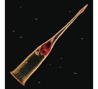 Melodies Of Atonement Édition Limitée CD