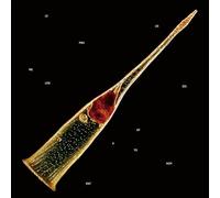 Melodies Of Atonement Édition Deluxe Limitée CD