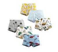 LeQeZe Boxers Garçon Lot de 6 Coton Enfant Garcon Culotte sous-Vêtement 8-9 Ans,Taille Fabricant: 150, Boys Dinosaur Mix 1