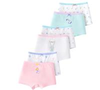 LeQeZe Culotte Fille sous-vêtement Slip Coton Lot de 6 Enfants 2-3 Ans(Mixed Color 12,Taille du Fabricant 110)