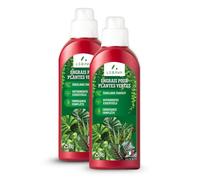 LERAVA Engrais Plantes Vertes Intérieur (2x700ml) - Engrais Liquide Universel - Nourrit et Renforce les Plantes Vertes d’Intérieur - Croissance et Vitalité Optimales - Idéal Monstera, Ficus, Pothos