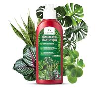 LERAVA Engrais Plantes Vertes Intérieur (4x700ml) - Engrais Liquide Universel - Nourrit et Renforce les Plantes Vertes d’Intérieur - Croissance et Vitalité Optimales - Idéal Monstera, Ficus, Pothos