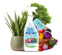 LERAVA Fongicide Cuivre Soufre (4x700 ml) - Traitement Naturel et Bio contre Oïdium, Mildiou et Maladies des Plantes - Protection Efficace pour Rosiers, Vignes et Jardin - Formule Facile à Utiliser