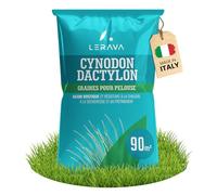 LERAVA Gazon à semer Cynodon dactylon (900 g) - Pour 90 m² - Résistant au piétinement et à la sécheresse - Idéal pour pelouses méditerranéennes et côtières - Consomme jusqu’à 20% d’eau en moins