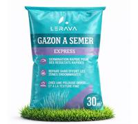 LERAVA® Gazon à Semer EXPRESS (30m²) | Graines de Gazon Regarnissage Rapide et Rustique | Semence Gazon Ray Grass Résistante | Pelouse Dense pour Jardin, Sport et Jeux