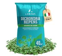 LERAVA Gazon Dichondra Repens (40 m²) - Gazon sans tonte - Résistant à la sécheresse et à l’ombre - Micro Trèfle à semer pour pelouse verte durable - 400g