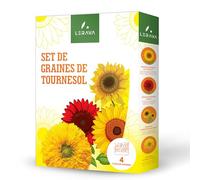 LERAVA Graines de Tournesol (4 Variétés) - Graines Bio Jardinage - Tournesol Géant Jaune, Rouge, Nain Ornemental, Teddy Sungold - Semences Faciles à Planter pour Jardin et Balcon
