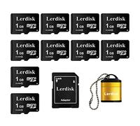 Lerdisk Lot de 10 Cartes Micro SD 1Go Classe 4 | Compatible Lecteurs MP3, Téléphones Anciens & Appareils SD | IP65 Antichoc et Certifié CE (1GoX10)
