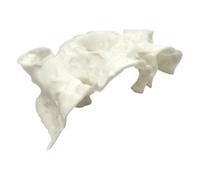 Lerpwige Aquariums Hideaway Décoration de maison sûre pour animaux de compagnie Poissons Maison de crevettes Réservoir de poissons grotte Décoration d'aquarium