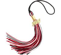 Lerpwige Capuchons de finition pampilles élégantes en polyester professionnel diplôme pour événement de doctorat académique Regalia