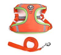 Lerpwige Harnais pour animaux de compagnie Gilet respirant avec bandes réfléchissantes - Accessoire de voyage sûr pour petits chiens
