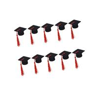 Lerpwige Lot de 10 capuchons décoratifs en feutre pour fêtes et événements sociaux