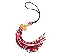 Lerpwige Pompons de remise de diplôme 2025 pour décorations de chapeau de remise de diplôme pour étudiants pratiques pour cérémonie de remise de diplôme