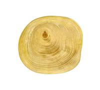 Lerpwige Surface lisse - Base en bois pour une manipulation sûre et précise des composants de montre et une tenue de réparation, Pas de trous