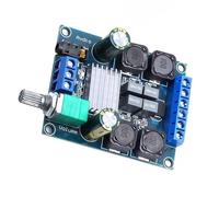 Lerpwige XY502 Module d'amplificateur de puissance numérique TPA3116D2 Double canal 50WX2 Protection contre les surcharges pour boîtier auditif Amplificateur auditif