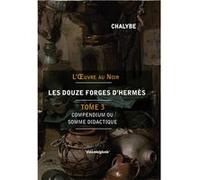Les 12 Forges d'Hermès-Tome 3 Chalybe (Auteur)