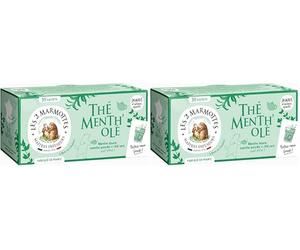 Les 2 Marmottes Thé Menth'olé - Thé vert 100% BIO à la menthe douce et poivrée - Vitalité et Fraicheur - Pour Le Petit-Déjeuner - Froid ou Chaud - Made In France - Sans arômes ajoutés - 45g (Lot de 2)