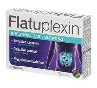 Les 3 Chênes® Gaz intestinaux - Ballonnements Sachet(S) 16 pc(s)