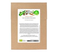 Les 3 Sœurs (Bio) - kit de graines avec maïs, haricots & courges pour un carré de légumes Milpa traditionnel