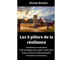 Les 5 piliers de la résilience: Une stratégie pour bâtir votre plan B et survivre à l’effondrement