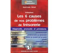 Les 6 causes de vos problèmes de trésorerie Diagnostic, pronostic et prévisions. - Jean-Louis Michel - Puits Fleuri - broché - Guide