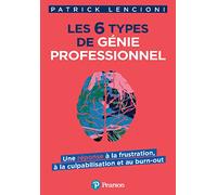 Les 6 types de génie professionnel: Une réponse à la frustration, à la culpabilisation et au burn-out