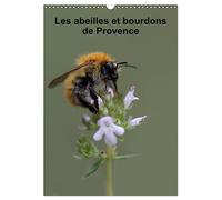 Les abeilles et bourdons de Provence (Calendrier mural 2026 DIN A3 vertical), CALVENDO calendrier mensuel