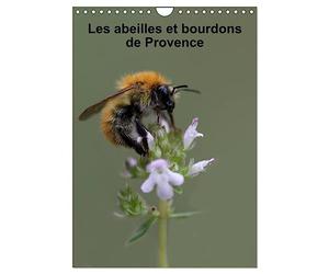 Les abeilles et bourdons de Provence (Calendrier mural 2027 DIN A4 horizontal), CALVENDO calendrier mensuel: Nos amis les abeilles et les bourdons solitaires et sauvages