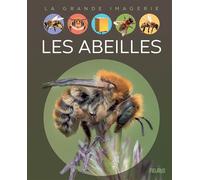 Les abeilles - Sabine Boccador - Fleurus - cartonné - Document jeunesse