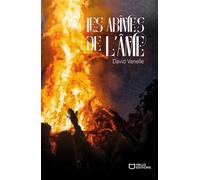Les abîmes de l'âme - David Vanelle - Hello - broché - Roman