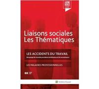 Les accidents du travail Florence Lefrançois (Auteur), Farah Nassiri Amini (Auteur), Sandra Limou (Auteur)