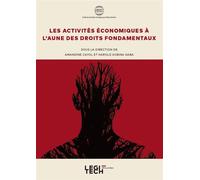 Les activités économiques à l'aune des droits fondamentaux 10 - Amandine Cayol - Legitech - broché - Etude
