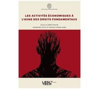 Les Activités Économiques À L'aune Des Droits Fondamentaux