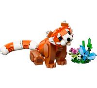 Les adorables animaux: le panda roux