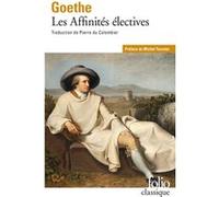 Les Affinités électives Johann Wolfgang Von Goethe (Auteur), Michel Tournier (Préface), Pierre Du Colombier (Traduction)