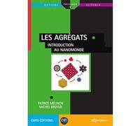 Les agrégats Patrice Mélinon (Auteur), Michel Broyer (Auteur)