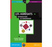 Les agrégats Patrice Mélinon (Auteur), Michel Broyer (Auteur)