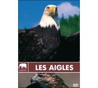 John Ross (Südafrika) – Les Aigles – Collection Safari E