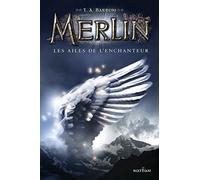 Les ailes de l'enchanteur: Merlin Livre 5 - Cycle 1
