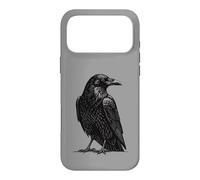 Les Ailes de l'ombre de Raum Coque pour iPhone 17 Pro Max